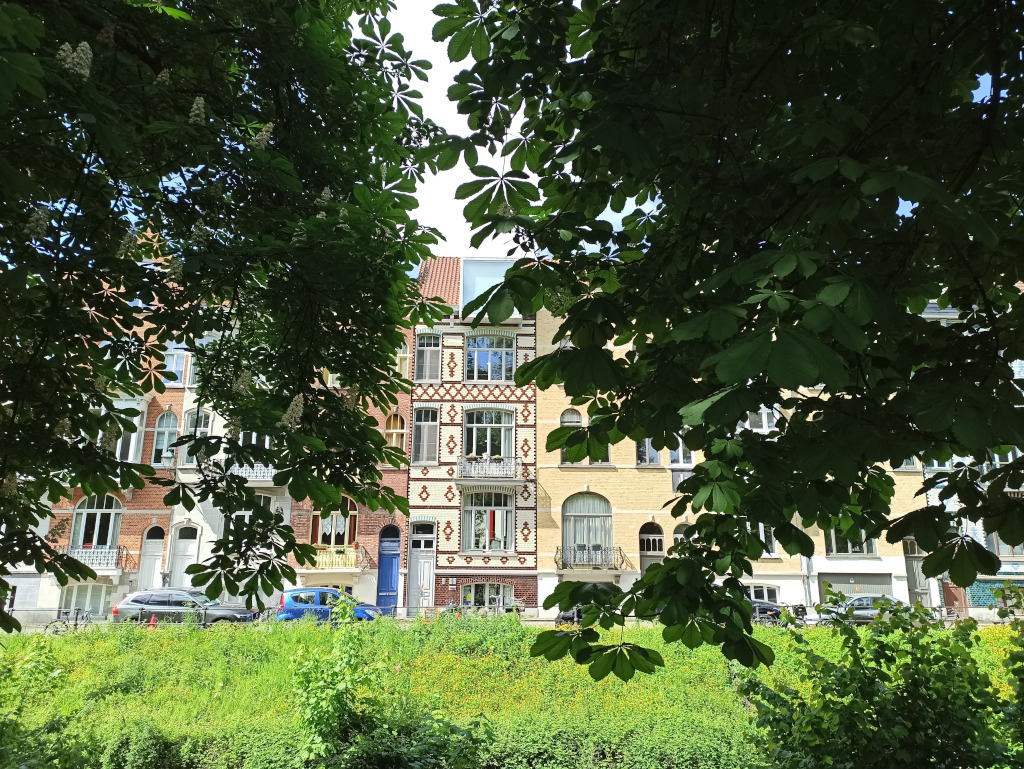 Außenansicht des "Vegan b&b AM/PM Bruges". Ein Reihenhaus umrahmt vom grünen Blättern.